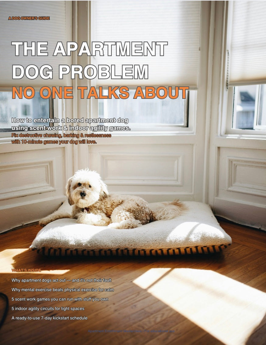 The Apartment Dog Problem